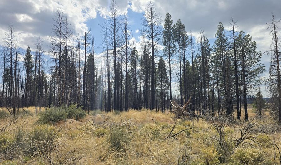 Valley Oak Lane, Bly, OR 97622 - 0 Beds, 0 Bath