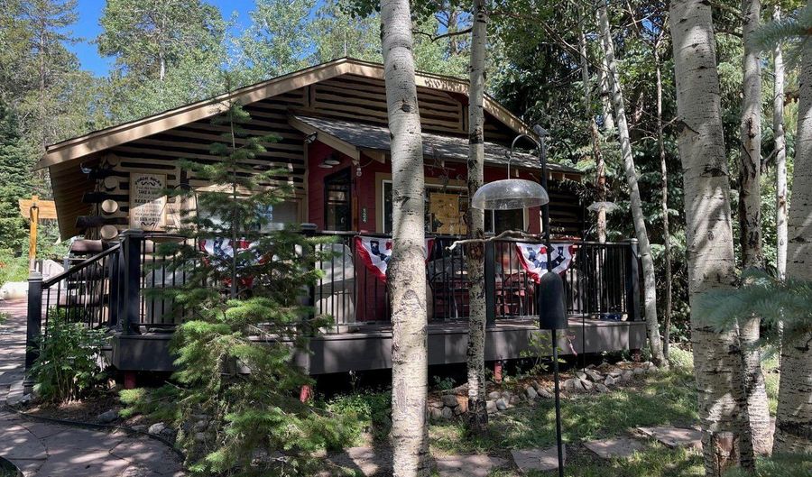 124 Ski Rd, Allenspark, CO 80510 - 2 Beds, 2 Bath