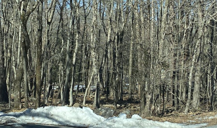Jeffers Way & Lang Way lot Ev593, Albrightsville, PA 18210 - 0 Beds, 0 Bath