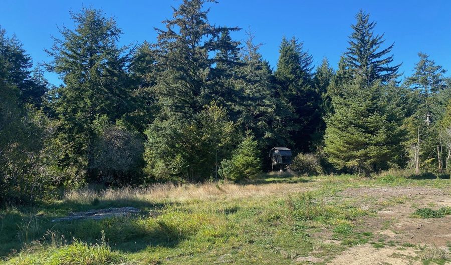 Bill Creek Ln, Bandon, OR 97411 - 0 Beds, 0 Bath