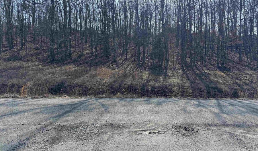 Rainbow Lake Road lot 58, Austin, AR 72007 - 0 Beds, 0 Bath