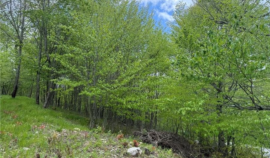 4 Fox Pointe Dr, Banner Elk, NC 28604 - 0 Beds, 0 Bath