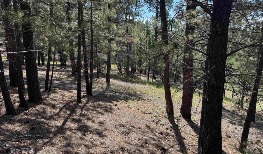 Upper Rd lot 18, Angel Fire, NM 87710 - 0 Beds, 0 Bath