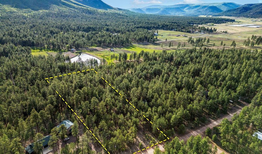 15 Co Rd 2083, Alpine, AZ 85920 - 0 Beds, 0 Bath