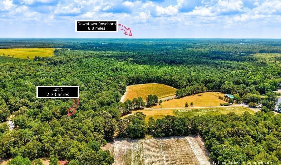 Ruth Vinson Road lot 1, Autryville, NC 28318 - 0 Beds, 0 Bath