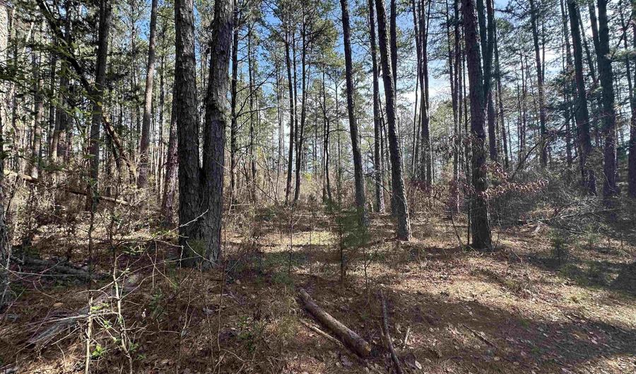 Lot 18 Panther Valley Dr, Drasco, AR 72530 - 0 Beds, 0 Bath