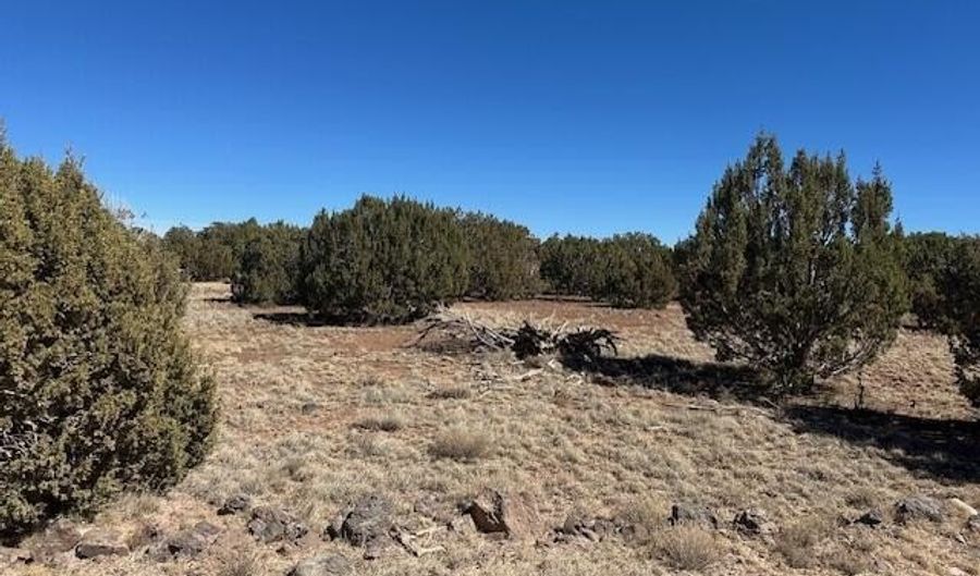 30 CR 8051 Rd, Concho, AZ 85924 - 0 Beds, 0 Bath