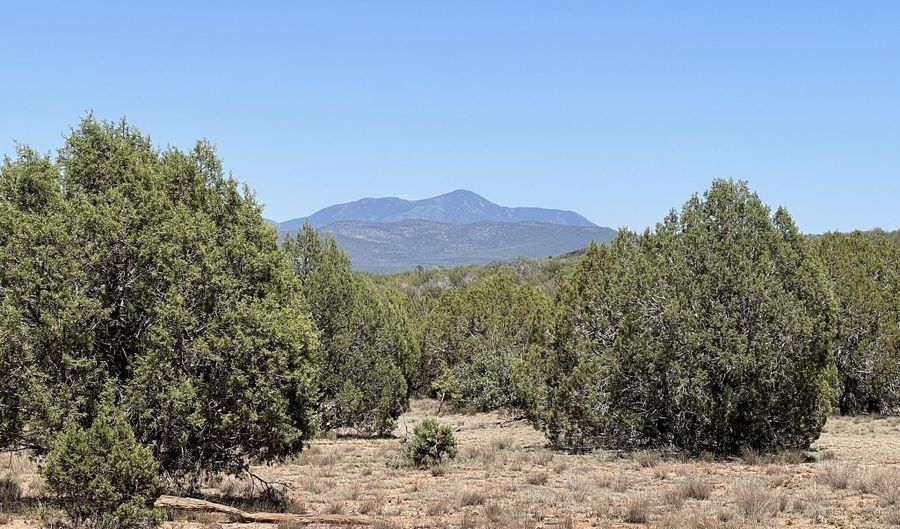 39303 N Bullock Rd, Ash Fork, AZ 86320 - 0 Beds, 0 Bath