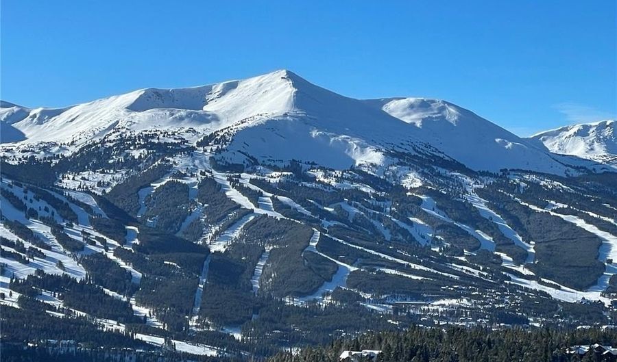 316 N FULLER PLACER Rd, Breckenridge, CO 80424 - 6 Beds, 7 Bath