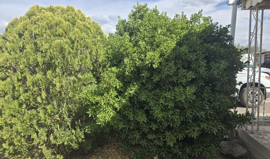 402 Aspen Street Lot 28 29 30, Carrizozo, NM 88301 - 3 Beds, 2 Bath