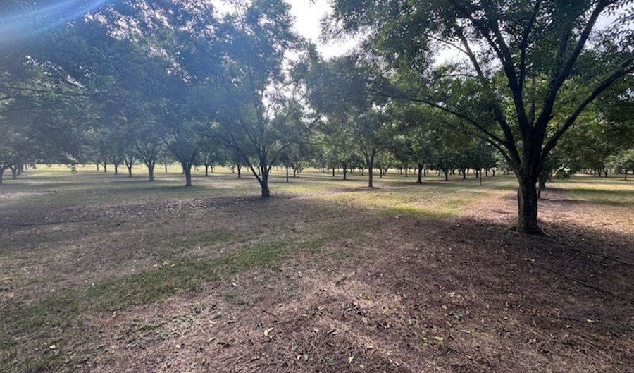 00 Manhole Rd, Bainbridge, GA 39817 - 0 Beds, 0 Bath