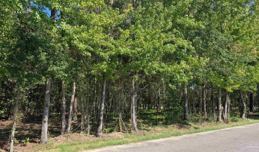 Lot 1a Harris St, Atmore, AL 36502 - 0 Beds, 0 Bath