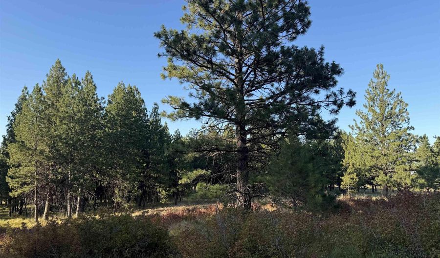 Harlow Ridge Rd - Cloverland Estates 26, Asotin, WA 99402 - 0 Beds, 0 Bath