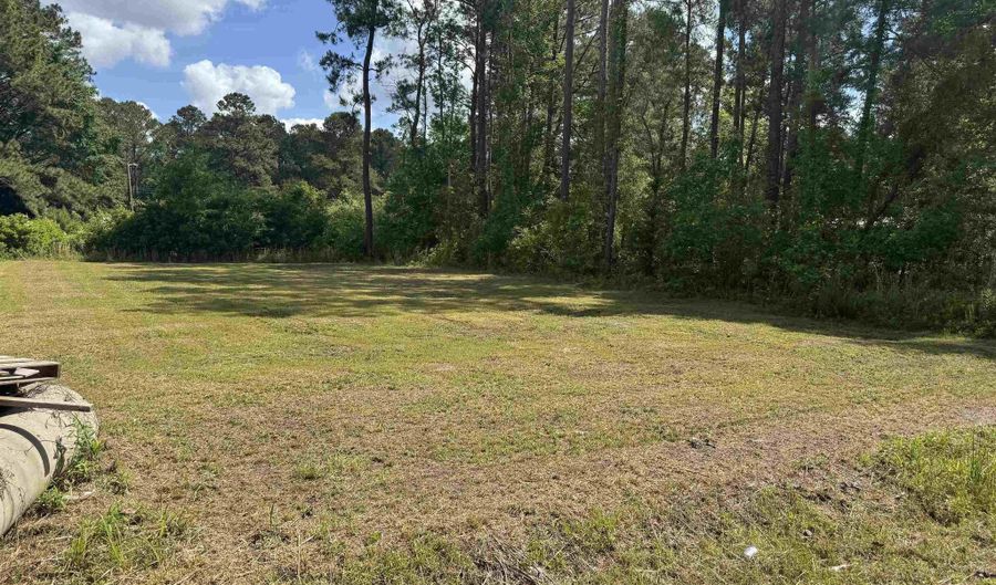 tbd James Dr, Andrews, SC 29510 - 0 Beds, 0 Bath