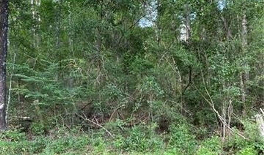 0 SIE JENKINS Rd, Bogalusa, LA 70427 - 0 Beds, 0 Bath