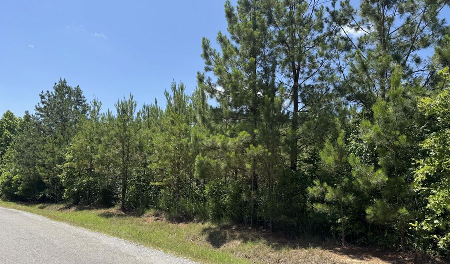 726 Rocky Springs Rd, Beech Bluff, TN 38313 - 0 Beds, 0 Bath