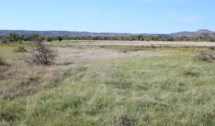 Tract 85 Sierra La Rana, Alpine, TX 79830 - 0 Beds, 0 Bath