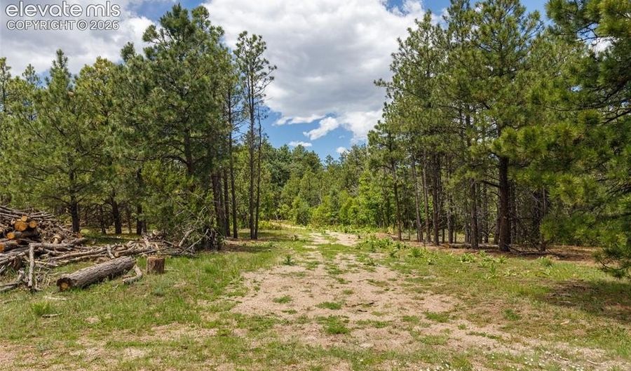 8719 Ponderosa Pine Dr, Beulah, CO 81023 - 0 Beds, 0 Bath