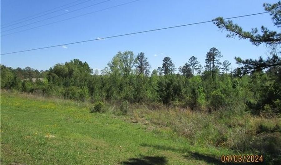 7100 HIGHWAY 8 Hwy, Bentley, LA 71407 - 0 Beds, 0 Bath