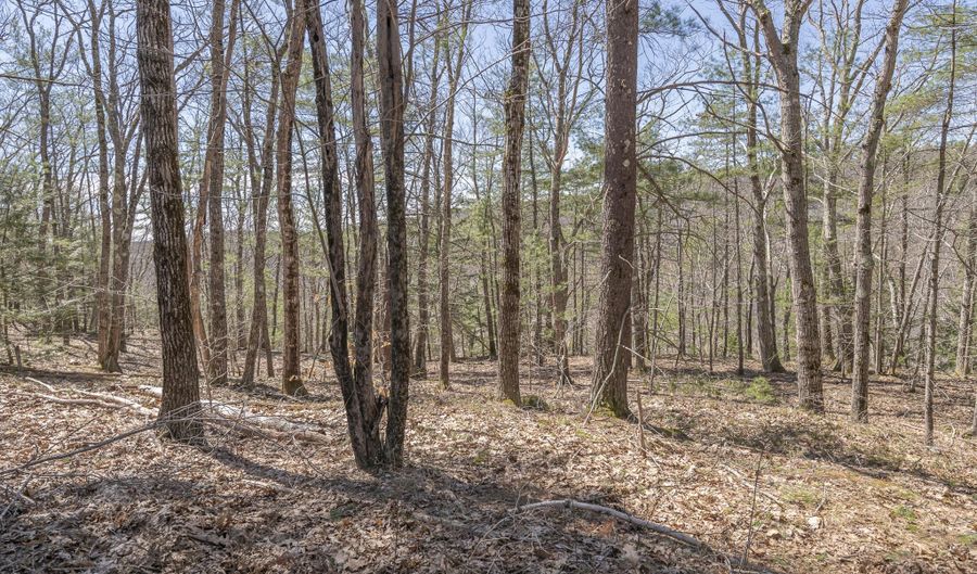Ridge Road lot 2, Bath, ME 04530 - 0 Beds, 0 Bath