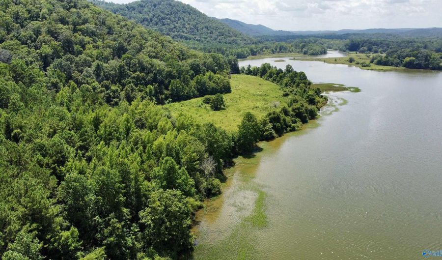 148 Acres County Road 21, Ashville, AL 35953 - 0 Beds, 0 Bath