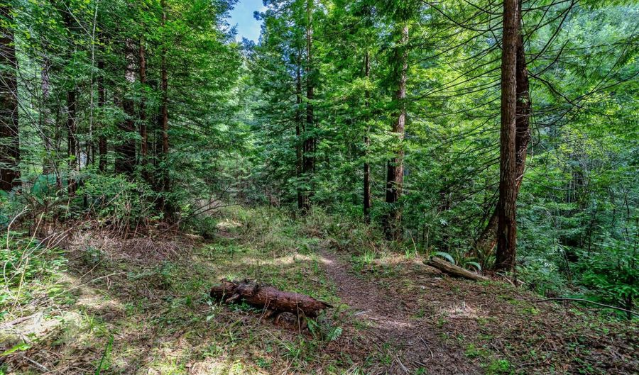E 16th Street, Arcata, CA 95521 - 0 Beds, 0 Bath