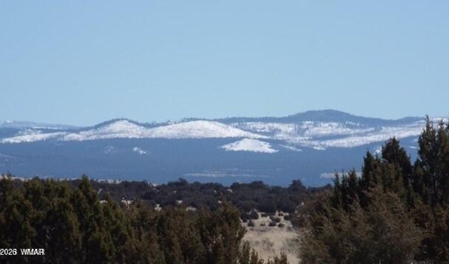 Parcel 107-52-046, Concho, AZ 85924 - 0 Beds, 0 Bath