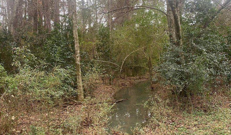 Ashley Road, Americus, GA 31709 - 0 Beds, 0 Bath