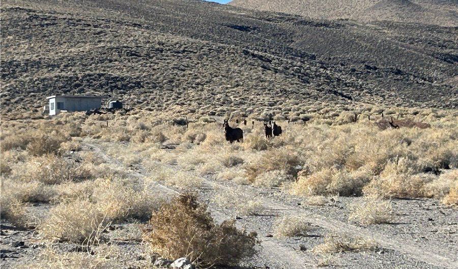 SAND SPRINGS Road, Dyer, NV 89010 - 0 Beds, 0 Bath