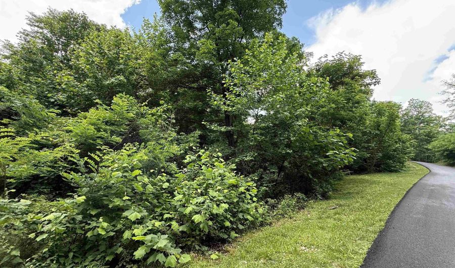 Oaks at Merricks Creek lot 24, Barboursville, WV 25504 - 0 Beds, 0 Bath