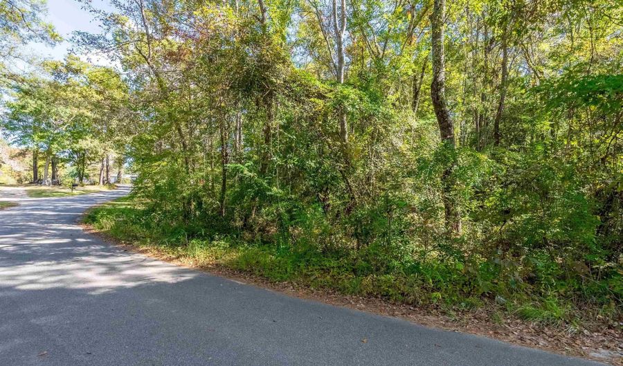 TBD Barnes Rd, Andrews, SC 29510 - 0 Beds, 0 Bath