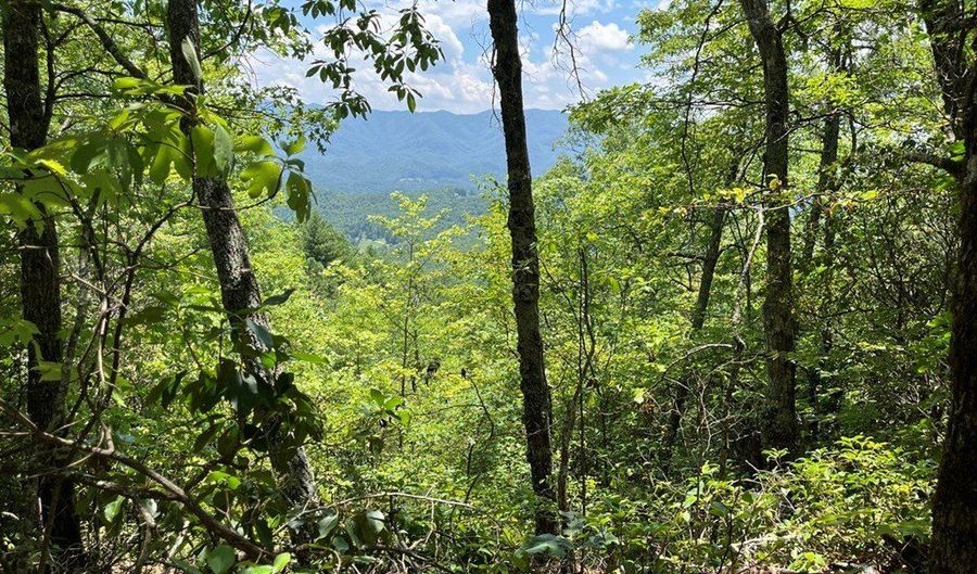 501 Clifftop Trl Lot 26, Andrews, NC 28901 - 0 Beds, 0 Bath