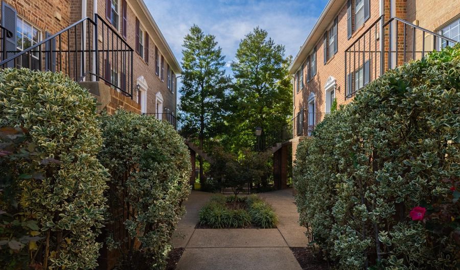 929 ROLFE St S 2, Arlington, VA 22204 - 2 Beds, 3 Bath