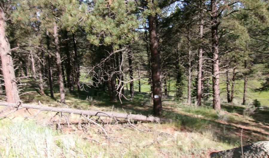 Lot 160 Valle Grande tr S, Angel Fire, NM 87710 - 0 Beds, 0 Bath