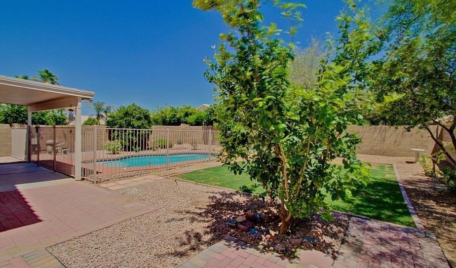1674 W MACAW Dr, Chandler, AZ 85286 - 5 Beds, 3 Bath