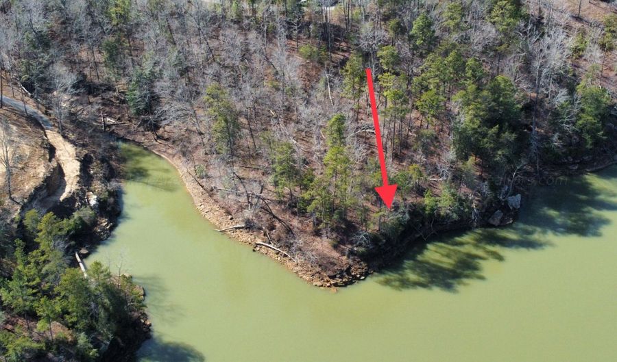 LOT 91 SIPSEY OVERLOOK, Double Springs, AL 35553 - 0 Beds, 0 Bath