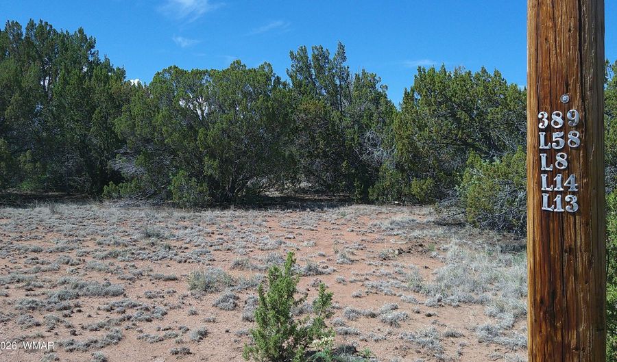 Concho Valley lot 3, Concho, AZ 85924 - 0 Beds, 0 Bath