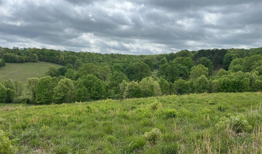 Co Rd 321 Route 5, Ava, MO 65608 - 0 Beds, 0 Bath
