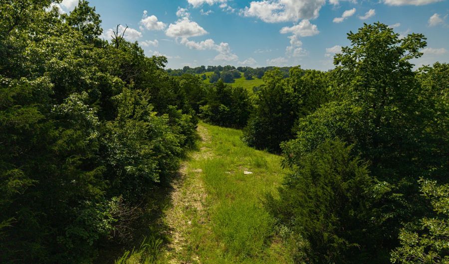 8441 County Road E 14-302 A, Ava, MO 65608 - 4 Beds, 2 Bath