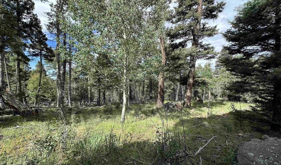 Cheerful Way lot 1437, Angel Fire, NM 87710 - 0 Beds, 0 Bath