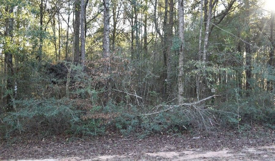 Lot 7 County Road 156, Enterprise, AL 36330 - 0 Beds, 0 Bath