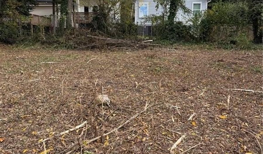 411 Paines Ave NW, Atlanta, GA 30314 - 0 Beds, 0 Bath