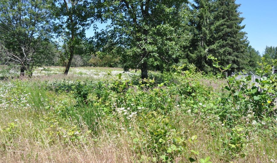 Jeans RD, Veneta, OR 97487 - 0 Beds, 0 Bath