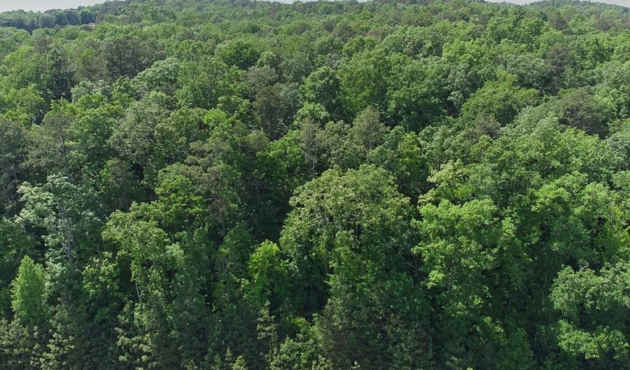 WHITE OAK Pl lot 11-A, Arley, AL 35541 - 0 Beds, 0 Bath