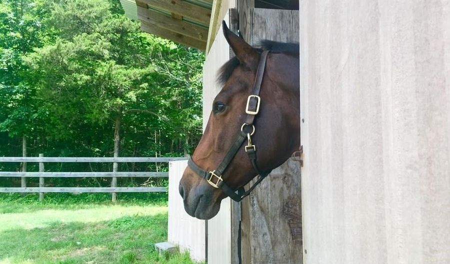 3151 Benchmark Trl, Amelia, VA 23002 - 3 Beds, 2 Bath