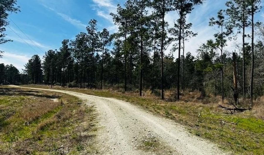 5-6 Laird Lane FM 357, Apple Springs, TX 75926 - 0 Beds, 0 Bath