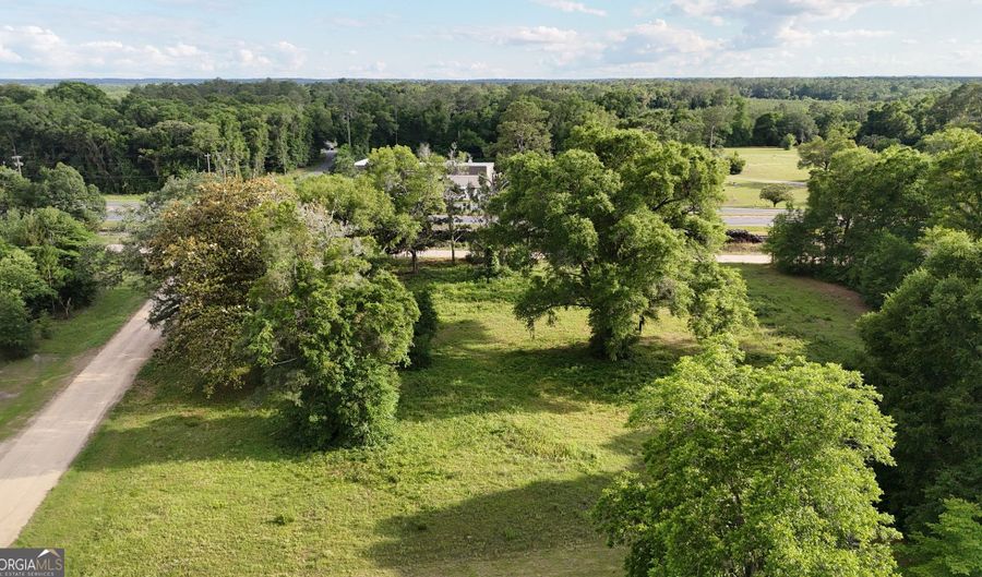 75 ACRE Butler St, Bainbridge, GA 39817 - 0 Beds, 0 Bath