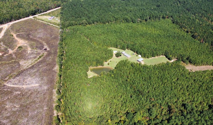 Lot 1 Highway 790, Ackerman, MS 39735 - 0 Beds, 0 Bath