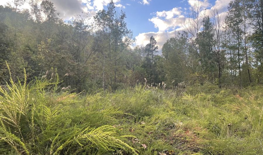 9999 Hooker Branch Rd, Barbourville, KY 40906 - 0 Beds, 0 Bath