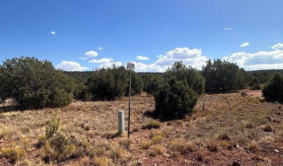 343 344 CR 8295, Concho, AZ 85924 - 0 Beds, 0 Bath